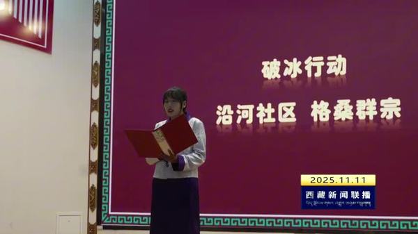 巴宜区举办第二届社区工作者“我的故事我来讲”活动
