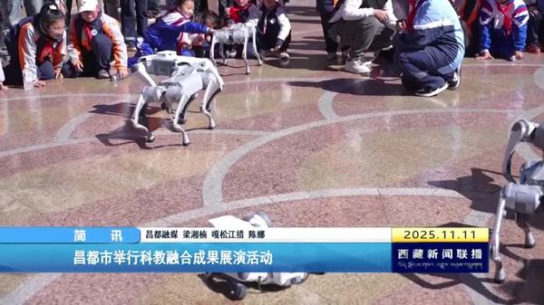 昌都市举行科教融合成果展演活动