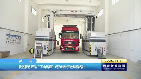 西藏自治区特色产品“下山出海”成为对外开放鲜活名片