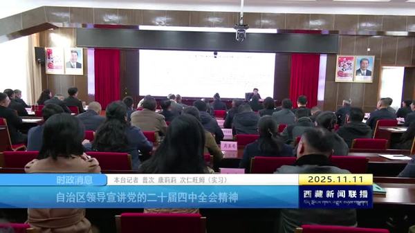 西藏自治区领导宣讲党的二十届四中全会精神