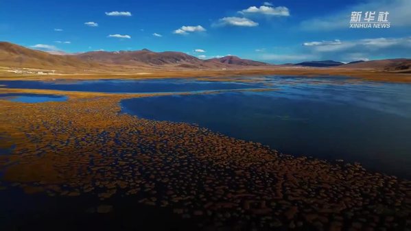 青海玉树：高原湿地铺展美丽画卷
