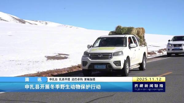 申扎县开展冬季野生动物保护行动