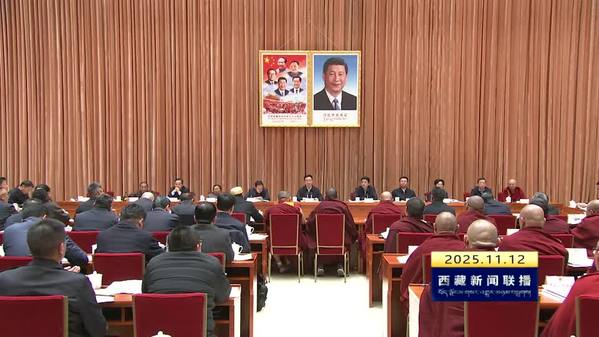 王君正在自治区宗教立法座谈会上强调：扎实推进中华民族共同体建设 积极引导藏传佛教与社会主义社会相适应 不断提升宗教事务治理法治化水平