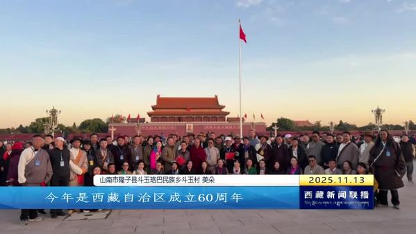 自治区第六批“高原红石榴”参观交流活动在京收官