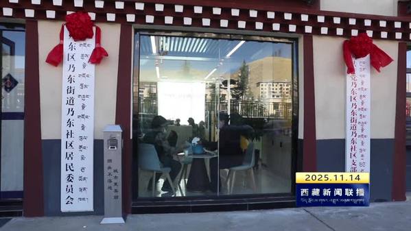 【改进作风 狠抓落实】乃东社区“便民角” 服务群众“暖而实”