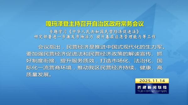 嘎玛泽登主持召开自治区政府常务会议 专题学习《中华人民共和国民营经济促进法》 研究部署进一步激发市场活力 提升基层应急管理能力等工作