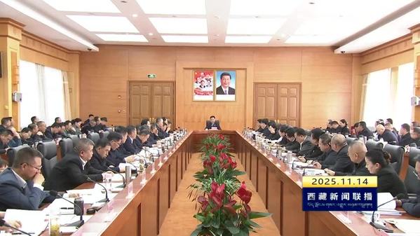 王君正在自治区党委理论学习中心组学习会上强调：全面系统学习贯彻党的二十届四中全会精神 切实把学习成果转化为抓好“四件大事”的强大动力 努力建设社会主义现代化新西藏