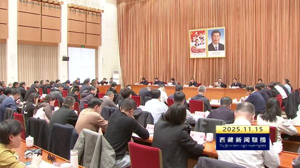 赖蛟在“组团式”援藏工作座谈会上强调：乘势而上 再接再厉 不断推动“组团式”援藏工作高质量发展