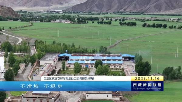 【新时代新征程新伟业·创建高原经济高质量发展先行区】前三季度西藏自治区城乡居民人均可支配收入增速位居全国第一