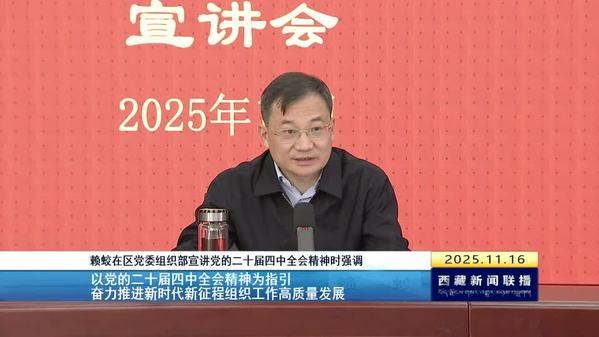 赖蛟在区党委组织部宣讲党的二十届四中全会精神时强调：以党的二十届四中全会精神为指引 奋力推进新时代新征程组织工作高质量发展