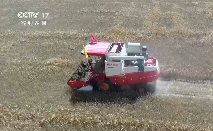 丰收来敲门 格桑花开幸福来