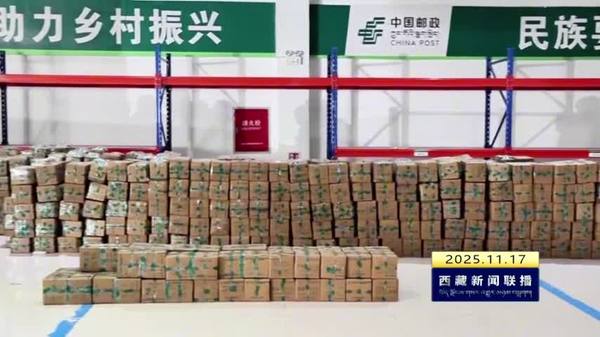 加查县开展助农增收活动