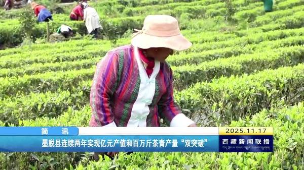 墨脱县连续两年实现亿元产值和百万斤茶青产量“双突破”