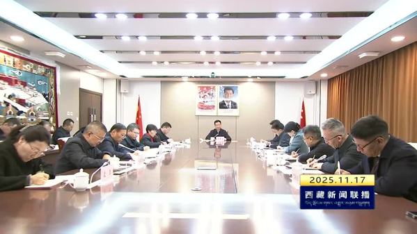 王君正在西藏自治区审计厅调研时强调：深入贯彻落实党的二十届四中全会精神 努力推动全区审计事业高质量发展