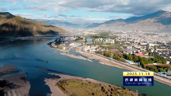 “十四五”期间 西藏自治区水利事业实现高质量发展