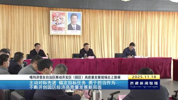 嘎玛泽登在自治区推动开发区（园区）高质量发展现场会上强调：主动对标先进 锚定目标任务 勇于担当作为 不断开创园区经济高质量发展新局面