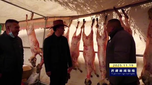 措美县第24届物资交流会开幕 民俗展演与惠民服务亮点纷呈