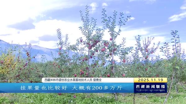 米林羌纳镇千亩水果迎丰收