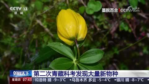 第二次青藏科考发现大量新物种