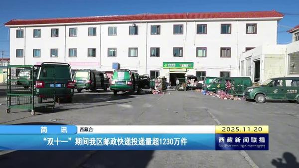“双十一”期间西藏自治区邮政快递投递量超1230万件