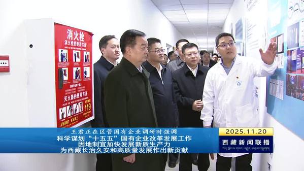 王君正在区管国有企业调研时强调：科学谋划“十五五”国有企业改革发展工作 因地制宜加快发展新质生产力 为西藏长治久安和高质量发展作出新贡献