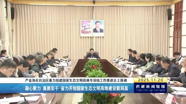 严金海在自治区着力创建国家生态文明高地专项组工作推进会上强调：凝心聚力 真抓实干 奋力开创国家生态文明高地建设新局面