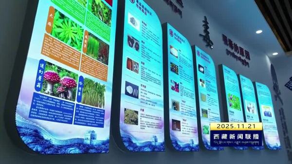 江孜县“禁毒图书角”揭牌启用