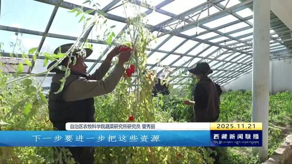 科研服务国家战略 成果惠及高原民生