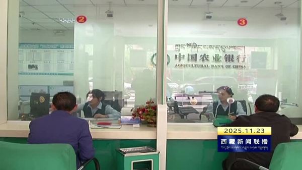 昌都市扎实做好农牧区普惠金融服务