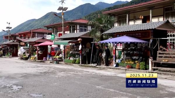 墨脱县玛迪村：“马路经济”铺就乡村振兴路