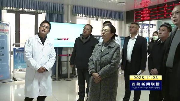 西藏自治区领导赴堆龙德庆区调研
