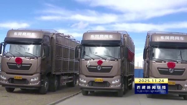 班戈县发放跨区域智能游牧车辆及牲畜转运车辆