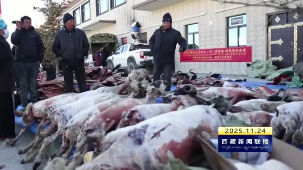 浪卡子县举办首届农畜产品展销会