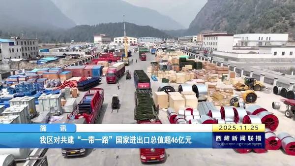 西藏自治区对共建“一带一路”国家进出口总值超46亿元