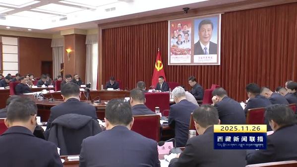 嘎玛泽登主持召开区政府党组会议暨理论学习中心组（扩大）学习会 以时不我待 只争朝夕的紧迫感责任感乘势而上 奋力谱写中国式现代化西藏新篇章