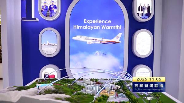 我区组团参加第八届进博会