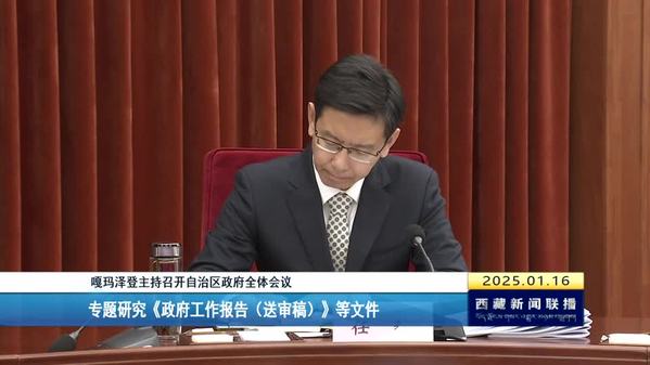 嘎玛泽登主持召开自治区政府全体会议 专题研究《政府工作报告（送审稿）》等文件