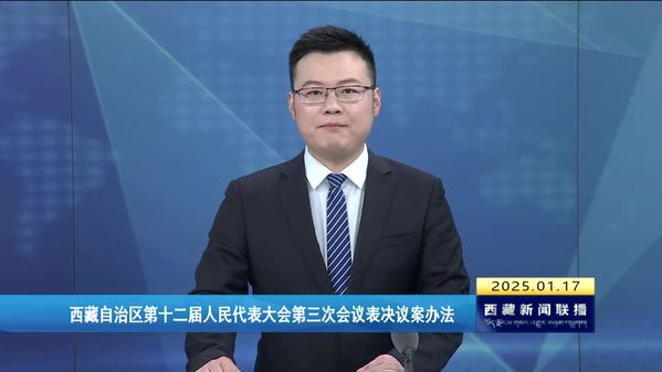 西藏自治区第十二届人民代表大会第三次会议表决议案办法