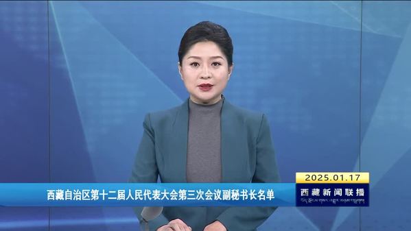 西藏自治区第十二届人民代表大会第三次会议副秘书长名单