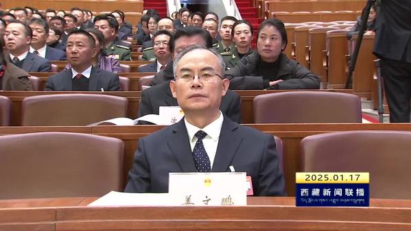 西藏自治区第十二届人民代表大会第三次会议举行预备会议