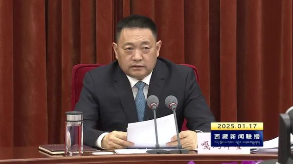 嘎玛泽登主持召开自治区人民政府党组（扩大）会议