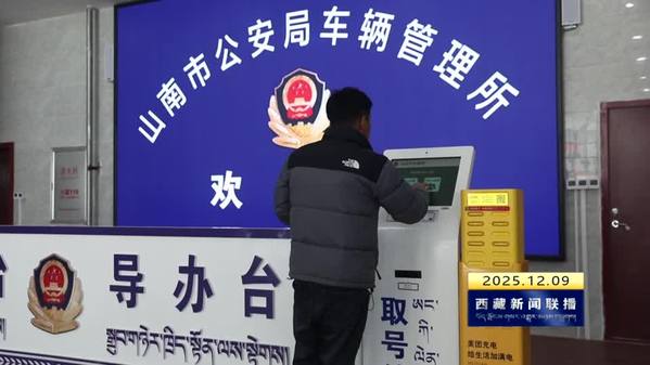 山南：深化“放管服”改革 公安便民举措暖民心