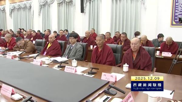藏传佛教活佛转世制度座谈会在日喀则举行