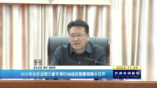 2025年西藏自治区治理欠薪冬季行动动员部署视频会召开