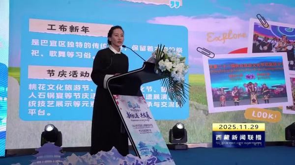 巴宜区举办2025年高质量投资价值暨文化旅游推介会