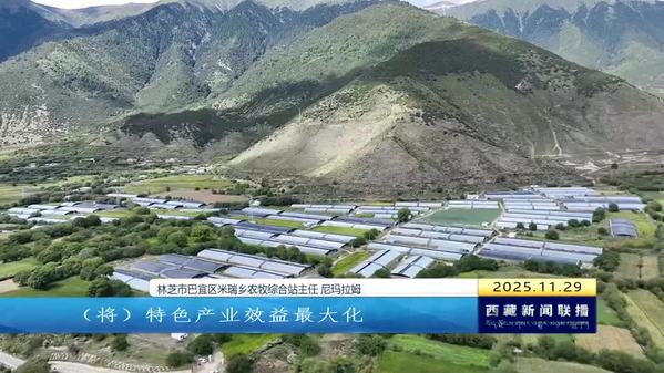 米瑞乡：因地制宜育产业 乡村振兴谱新篇