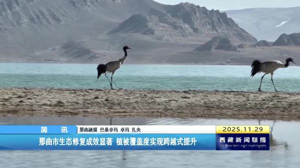 那曲市生态修复成效显著 植被覆盖度实现跨越式提升