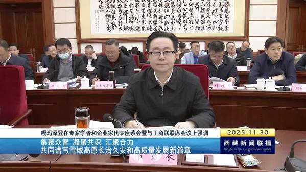 嘎玛泽登在专家学者和企业家代表座谈会暨与工商联联席会议上强调：集聚众智 凝聚共识 汇聚合力 共同谱写雪域高原长治久安和高质量发展新篇章
