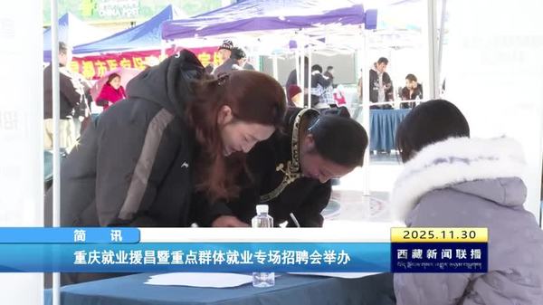 重庆就业援昌暨重点群体就业专场招聘会举办