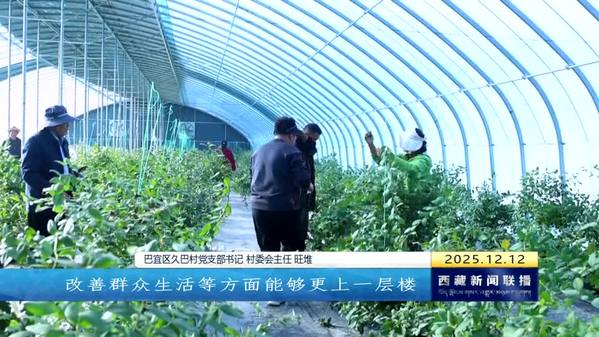 【四中全会精神在基层】真抓实干砥砺前行 用实干续写高质量发展新篇章